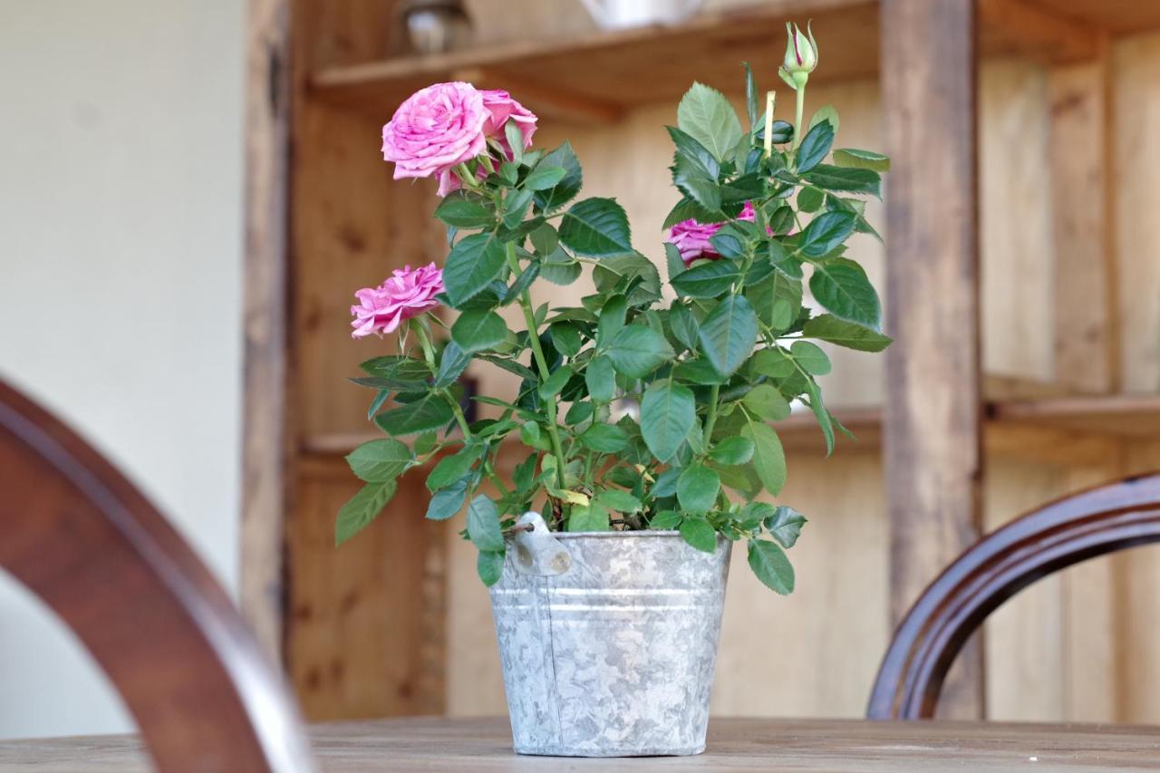 Beb Montefratta Bed & Breakfast Fratta Terme Exterior photo