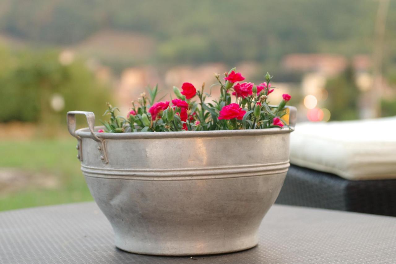 Beb Montefratta Bed & Breakfast Fratta Terme Exterior photo