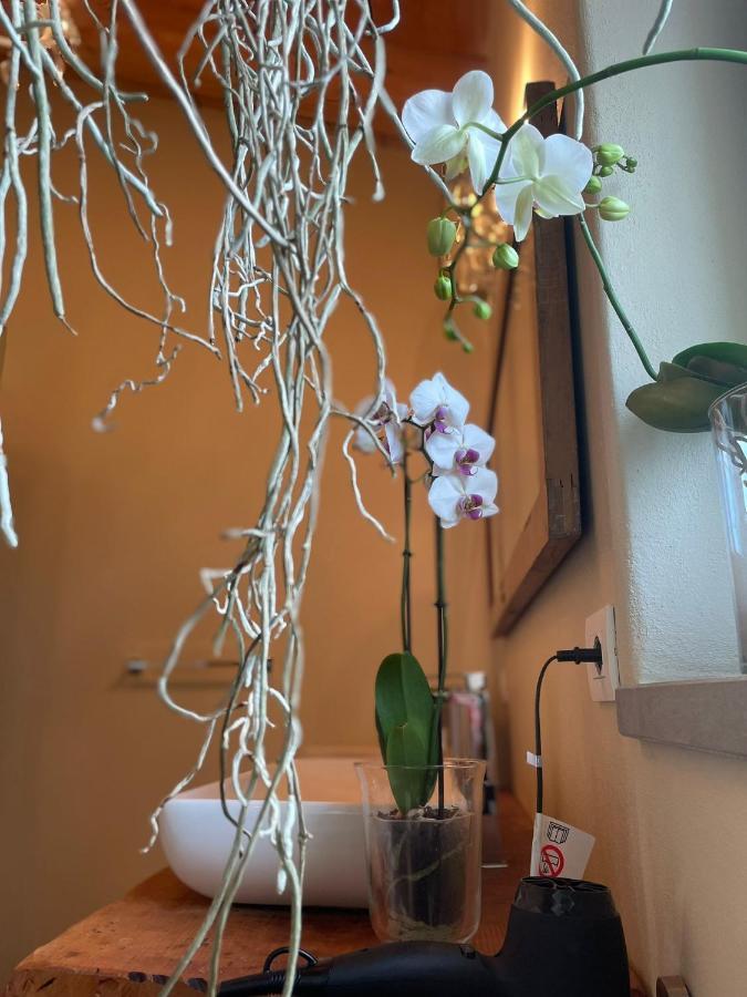 Beb Montefratta Bed & Breakfast Fratta Terme Exterior photo
