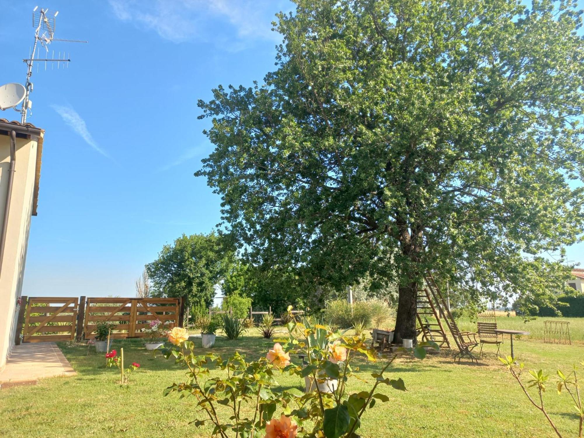 Beb Montefratta Bed & Breakfast Fratta Terme Exterior photo