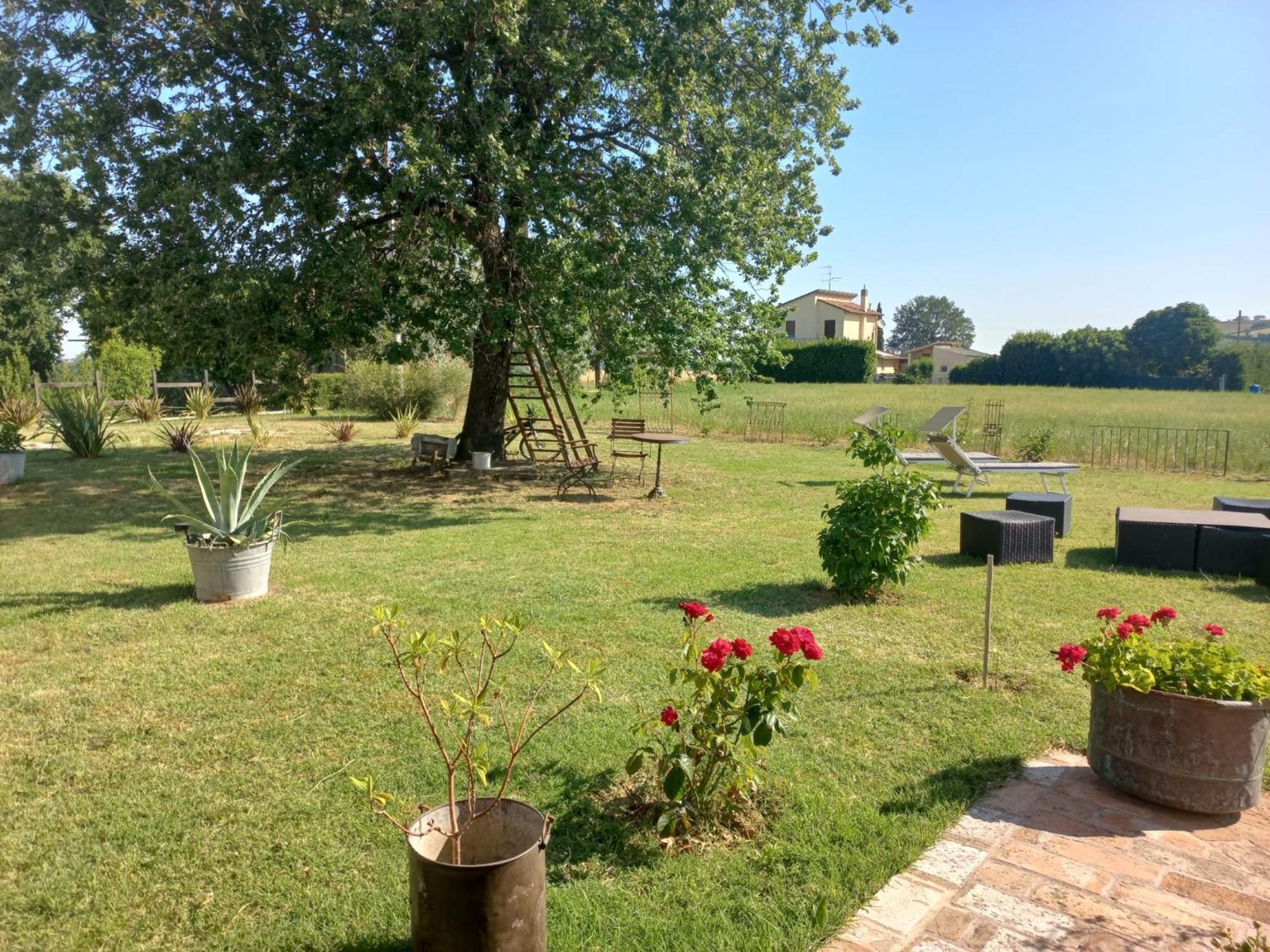 Beb Montefratta Bed & Breakfast Fratta Terme Exterior photo
